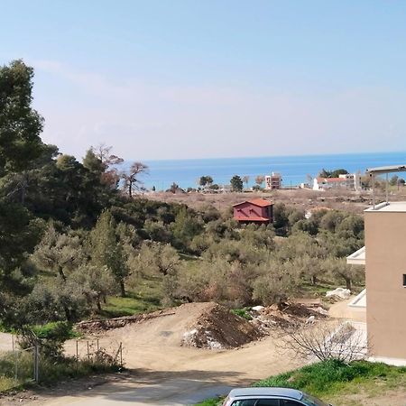 Theasis1 Villa Neos Marmaras Dış mekan fotoğraf
